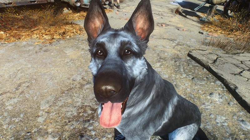 Предельный размер модов для Fallout 4 на PS4 составляет 900 МБ