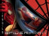 Дополнительный контент в Spider-Man 3 для обладателей Wii