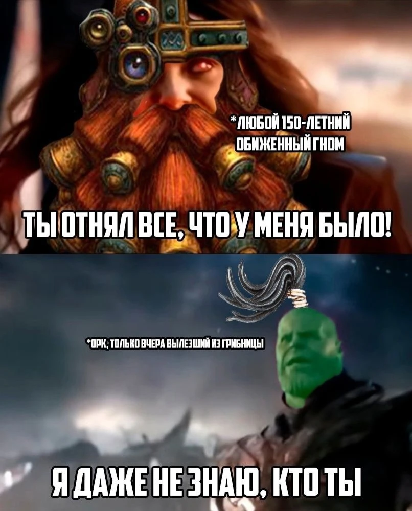 Гномы и орки в вархаммере