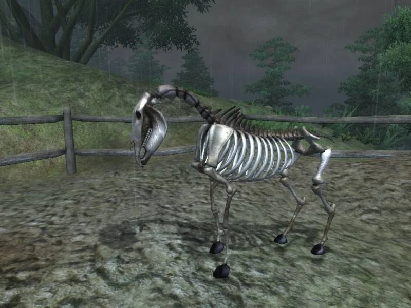 TES 4: Oblivion "Лошадь-скелет"