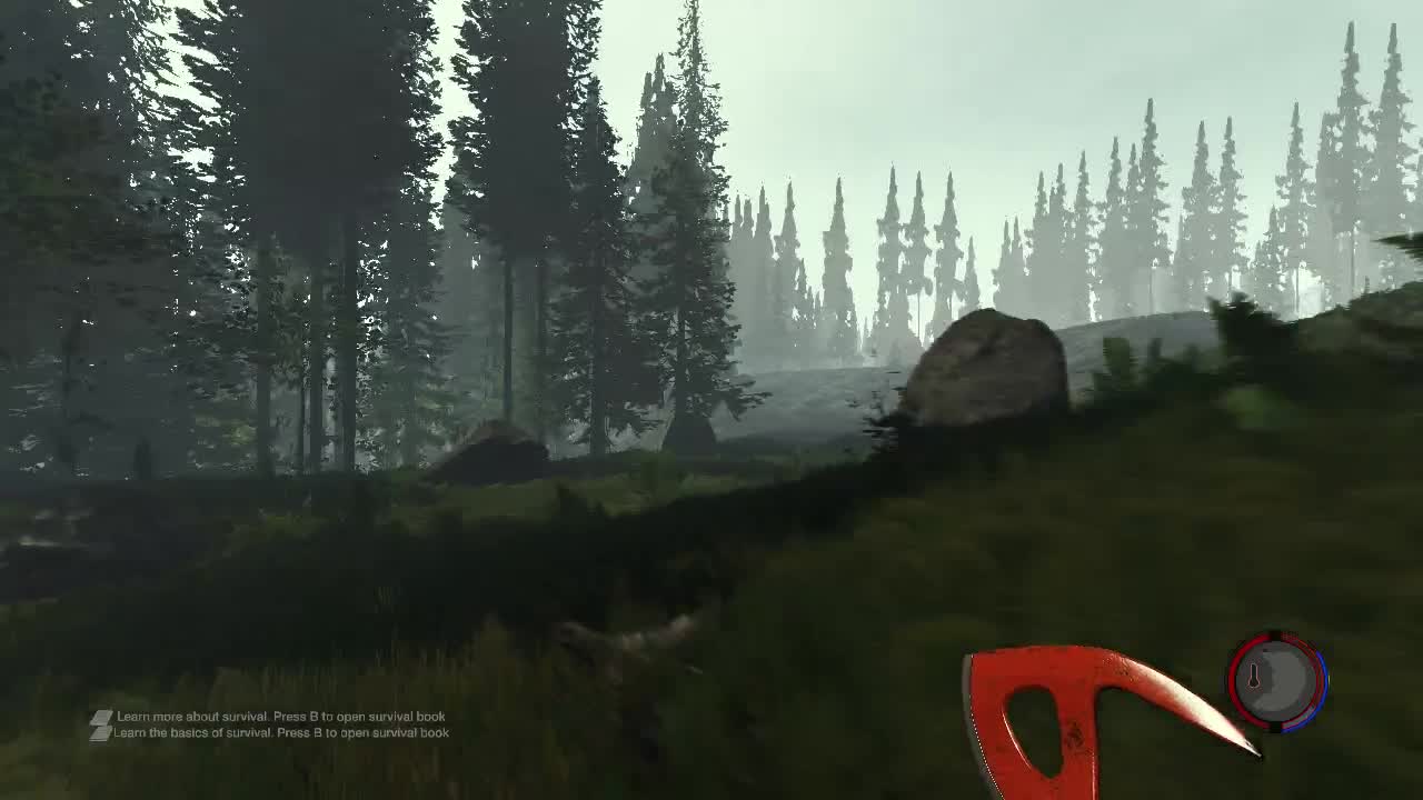 The Forest "Летс плей"