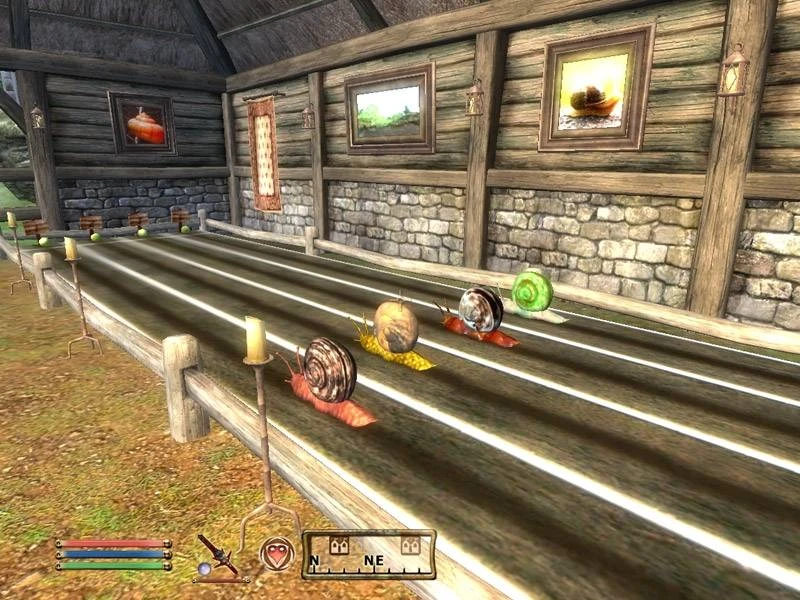 TES 4: Oblivion "Улитковые гонки Фьюза"