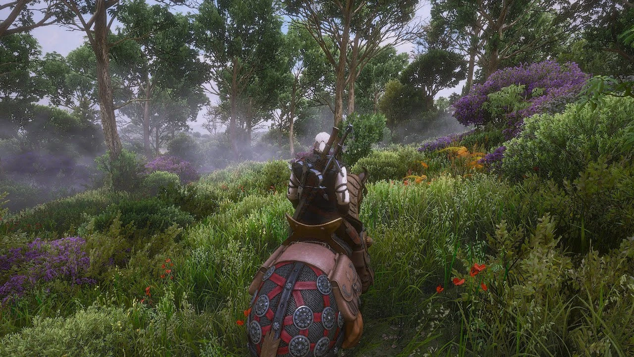 The Witcher 3 "Ремейк - сборка на 220 модов"