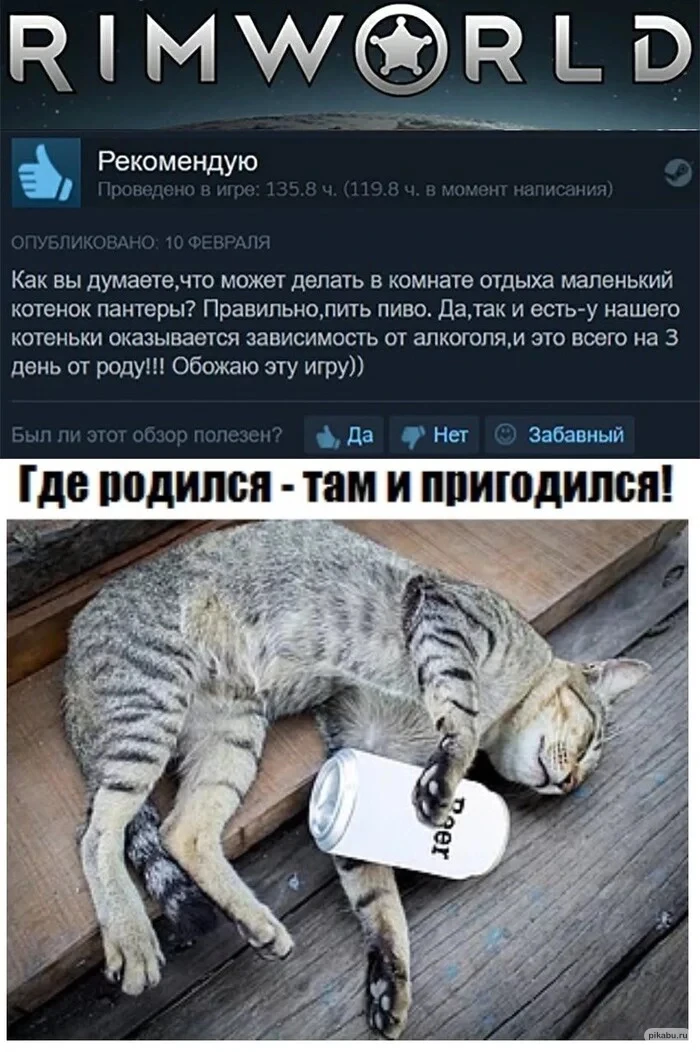 Котёнок...