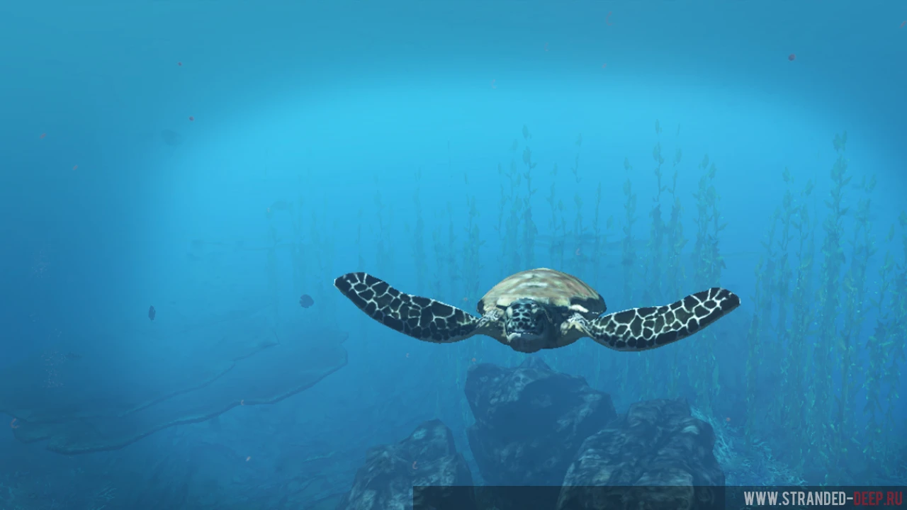 Эксперименты разработчиков