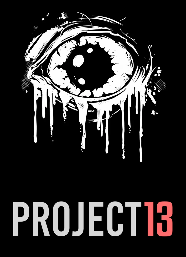 Project 13