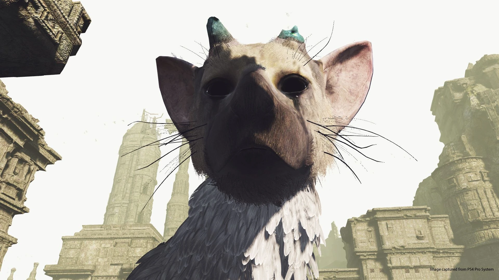 Бесплатное VR-демо The Last Guardian уже доступно