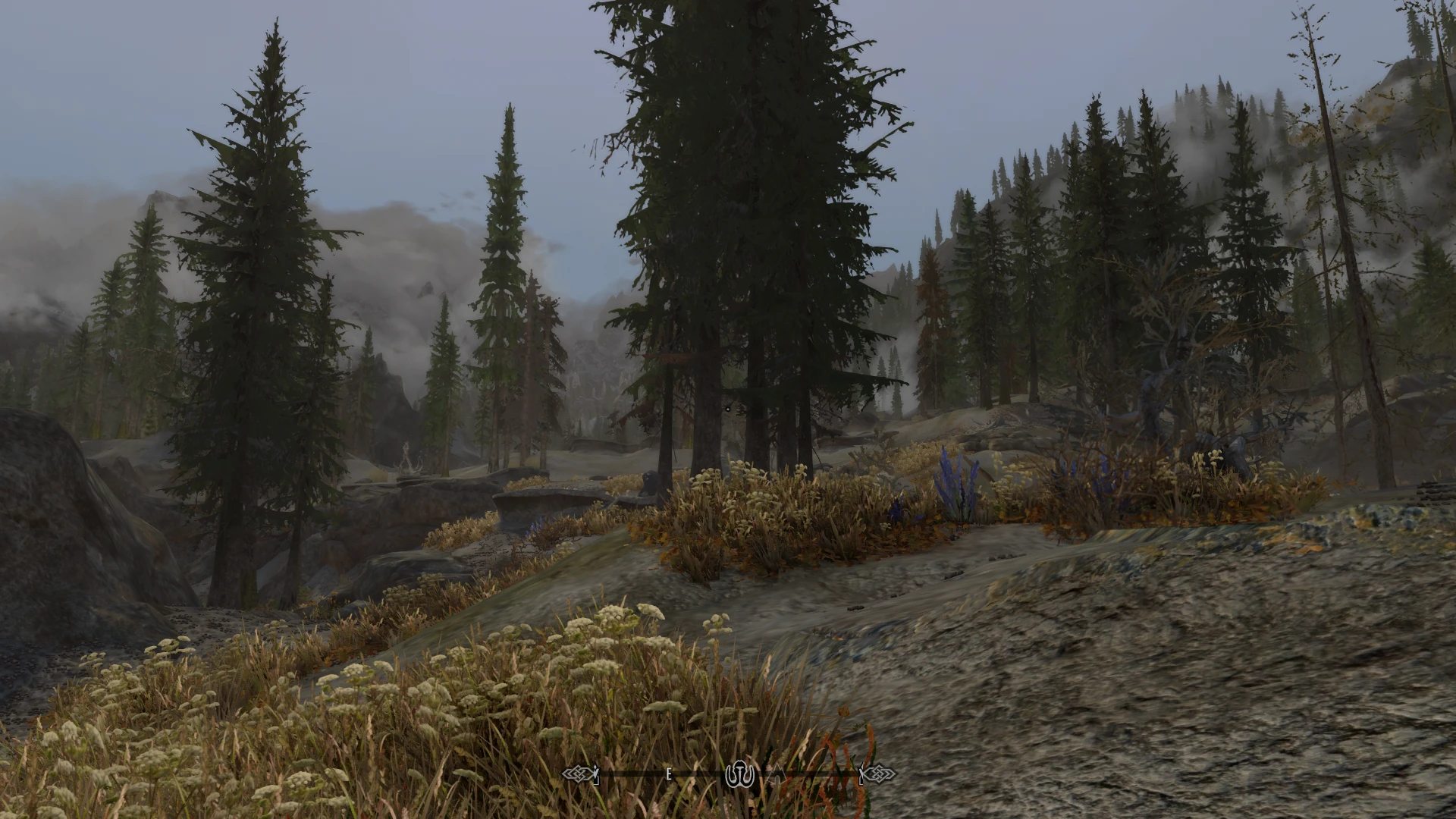 Skyrim SE "G.O.A. моды"