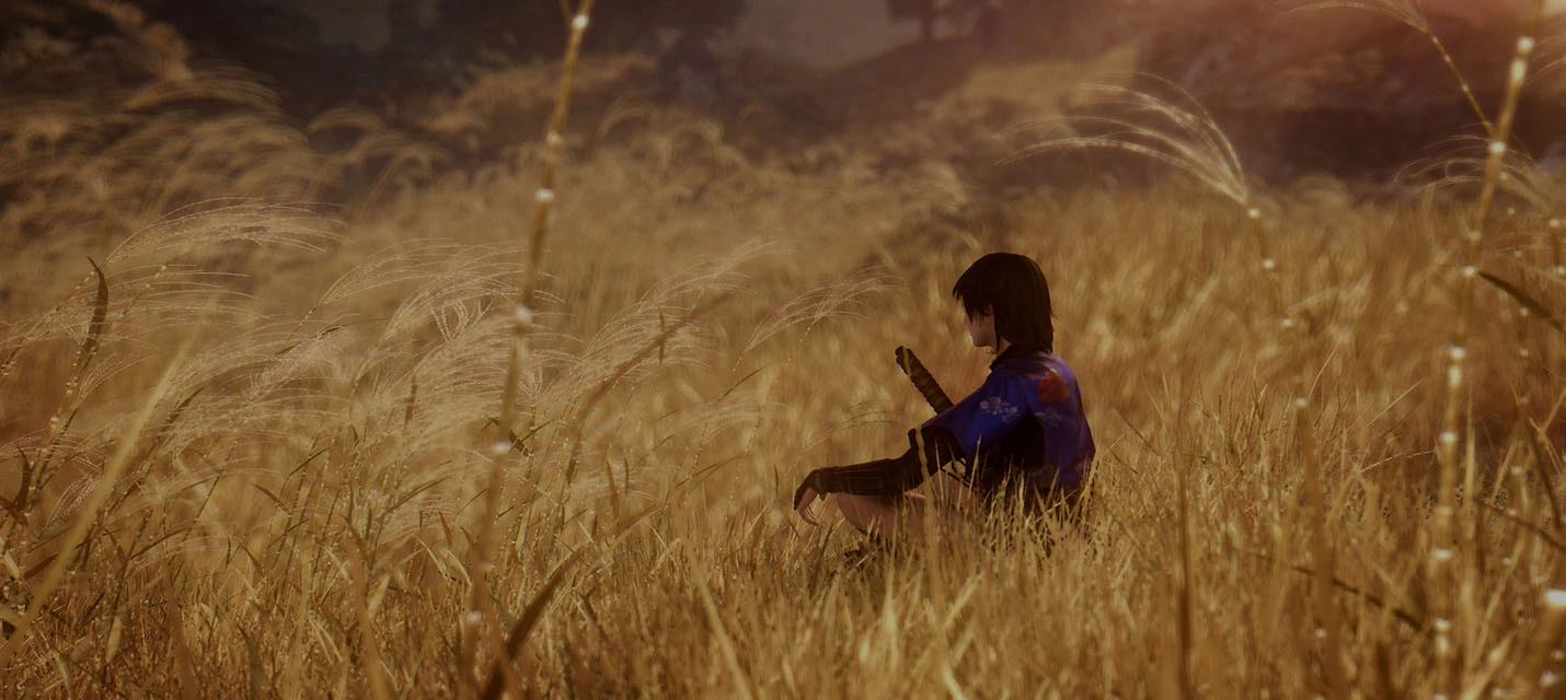 Разработчики Dead or Alive и NiOh работают над проектами для широкой аудитории