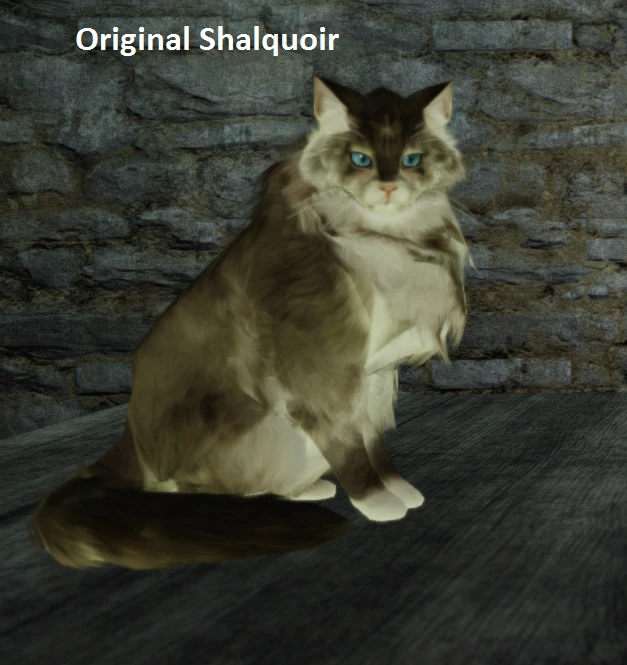 Dark Souls 2 "Tabby Shalquoir HD"