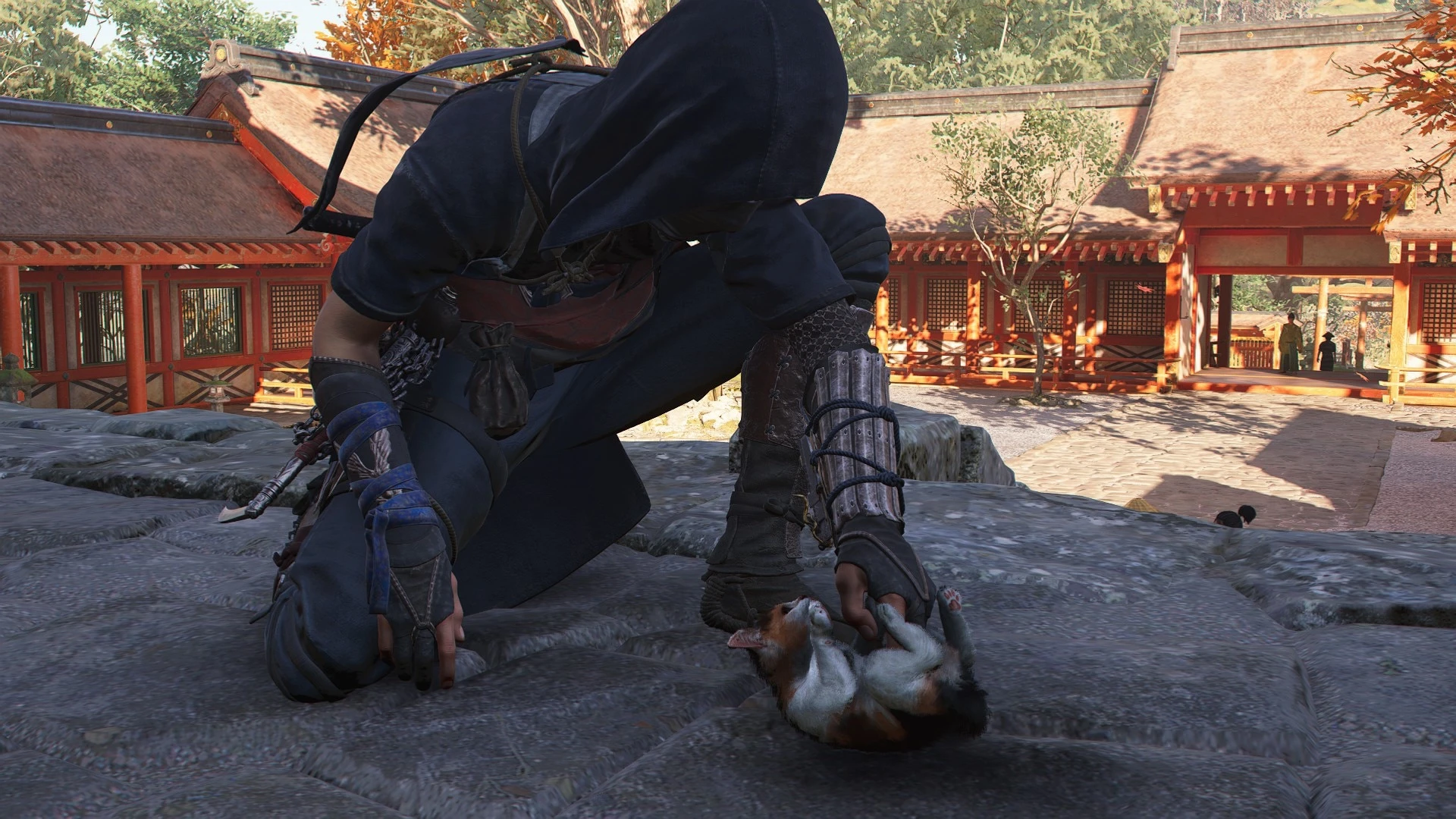 Лучшие навыки мастера для Наоэ в Assassin's Creed Shadows