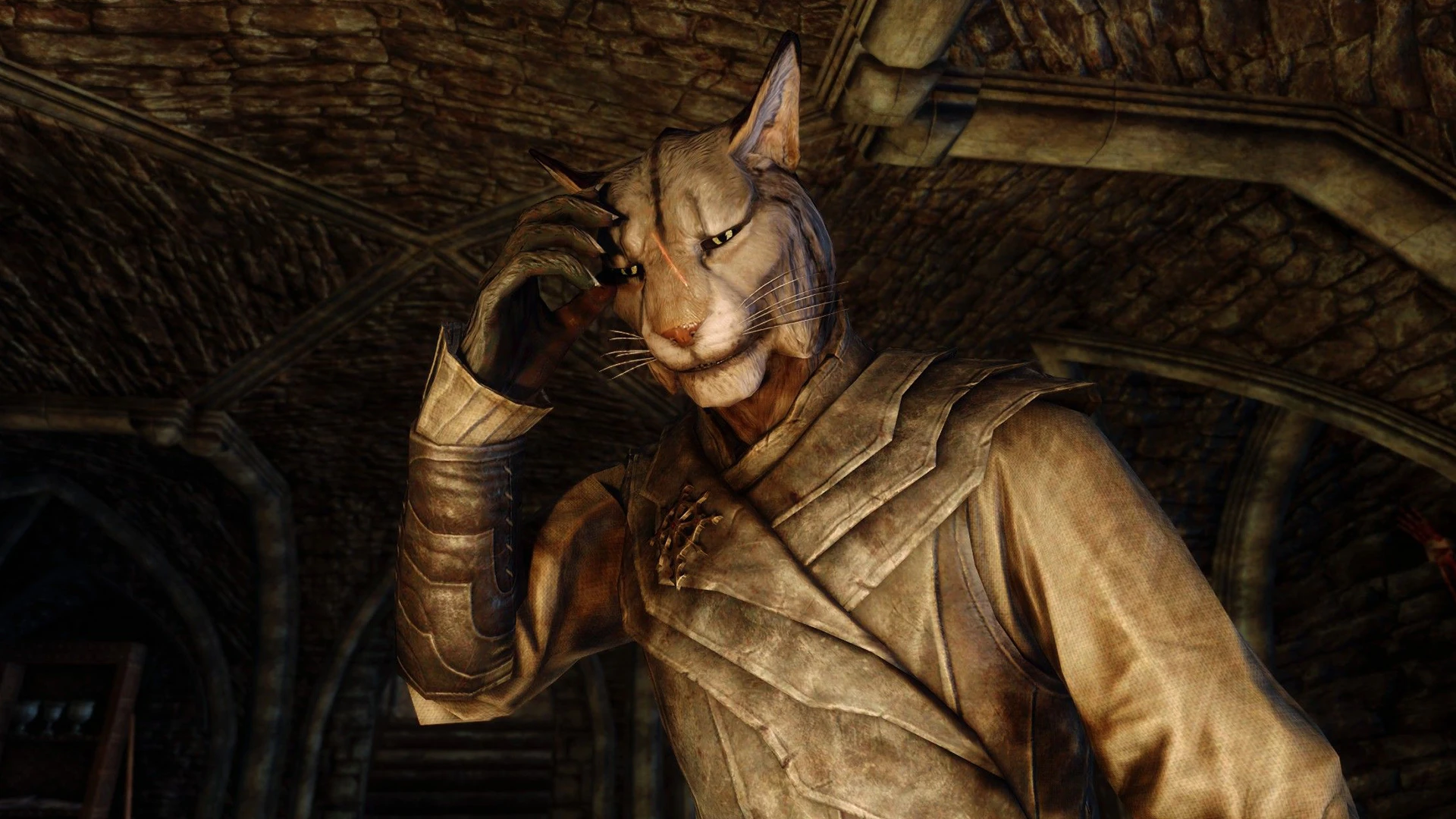 Данный мод для Skyrim Special Edition добавляет тонкую анимацию лица вашего персонажа