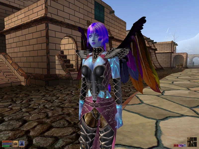 Morrowind "Раса - Vir We"