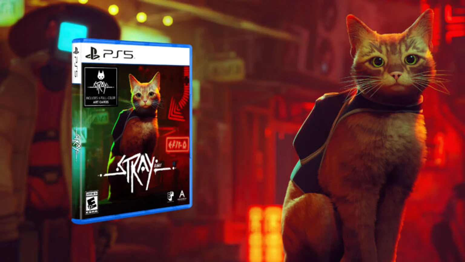 Анонсировано физическое издание Stray для PS5