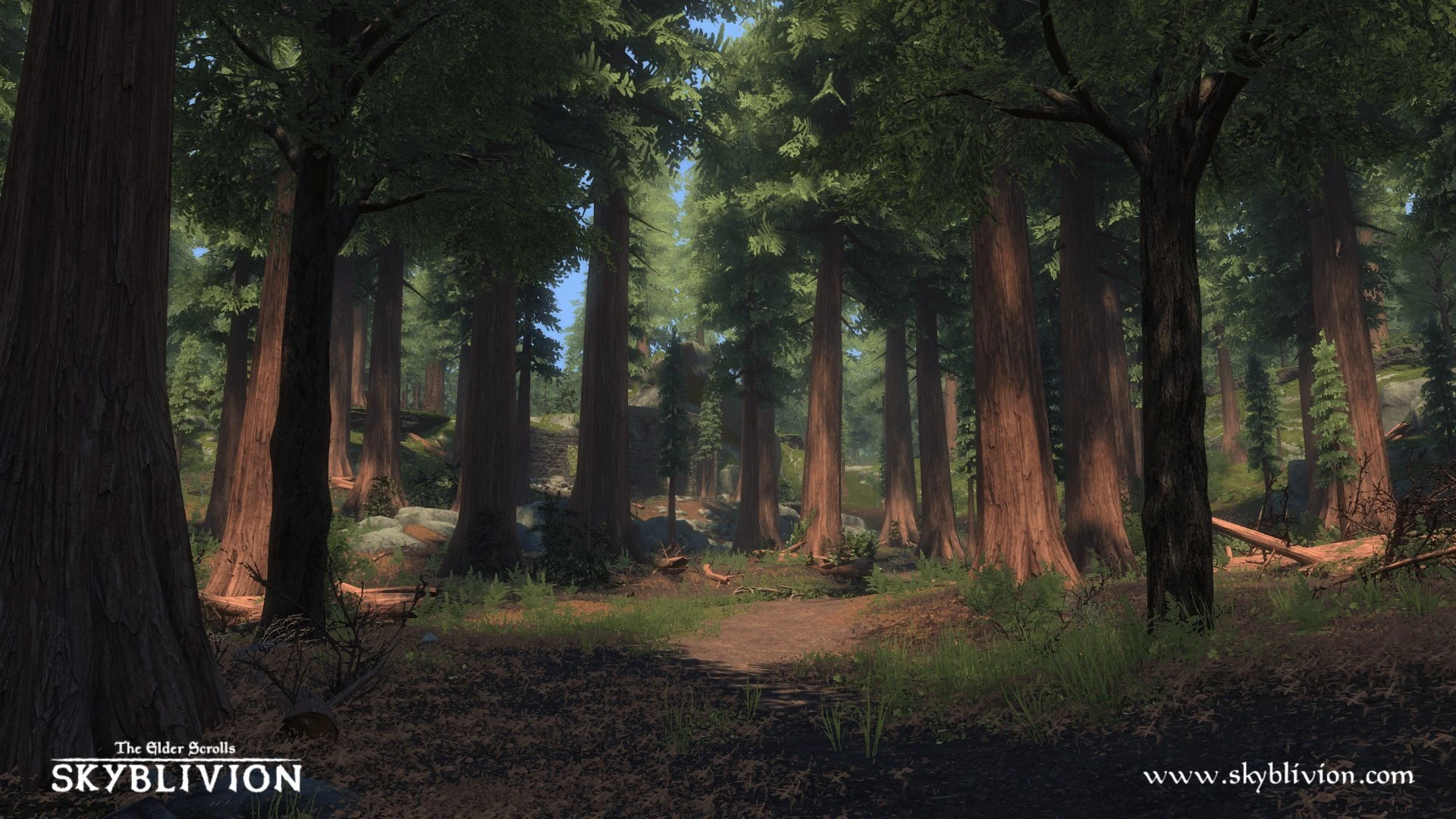 На новых скриншотах ремейка Oblivion на движке Skyrim показали лес и водопад