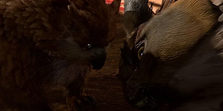 Baldur's Gate 3: где найти яйцо медвесыча и что с ним делать