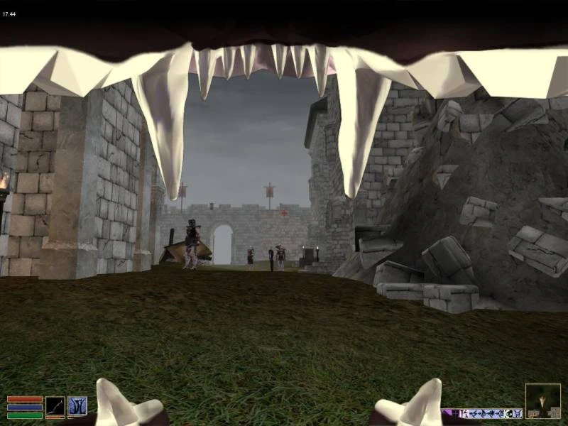 Morrowind "Изменённый вид от 1-го лица"