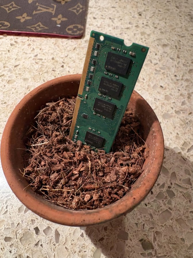 Первый день выращивания оперативной памяти