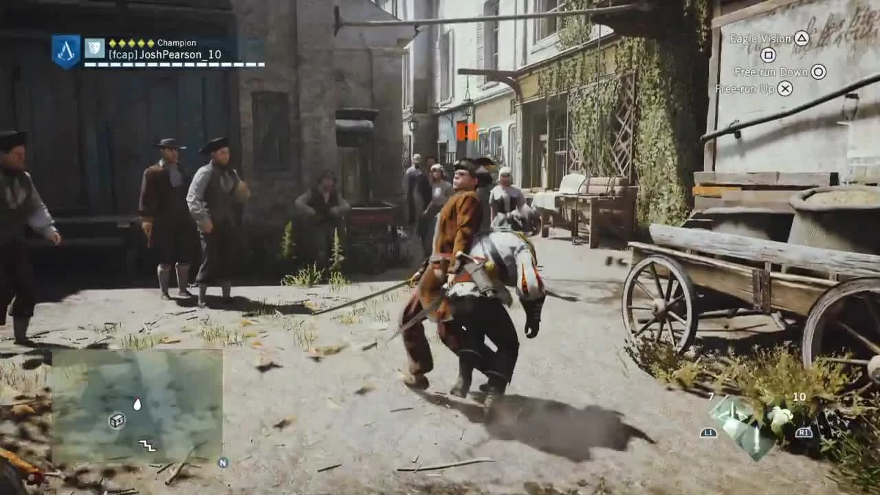 Assassin's Creed: Unity "Очередной баг"