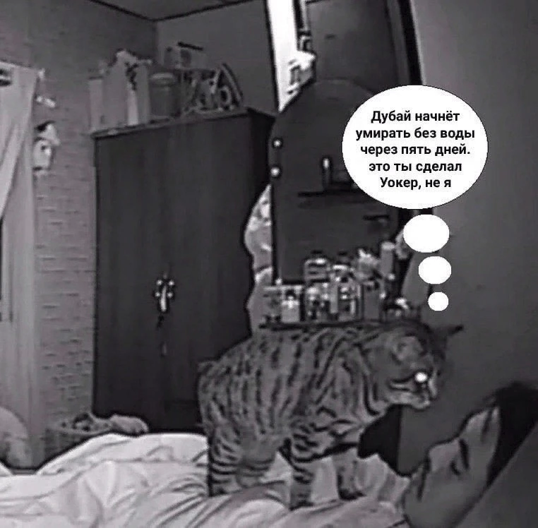 Голос разума везде достанет