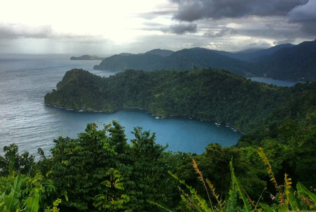 На смену Radeon R9 270 (Curacao Pro) придет GPU Trinidad?