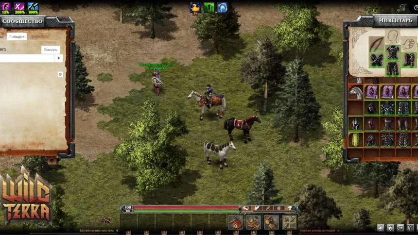 В Wild Terra добавили гильдии