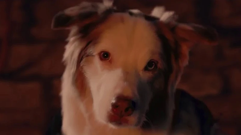 Новый трейлер Shadow of the Tomb Raider посвящен Национальному дню собаки