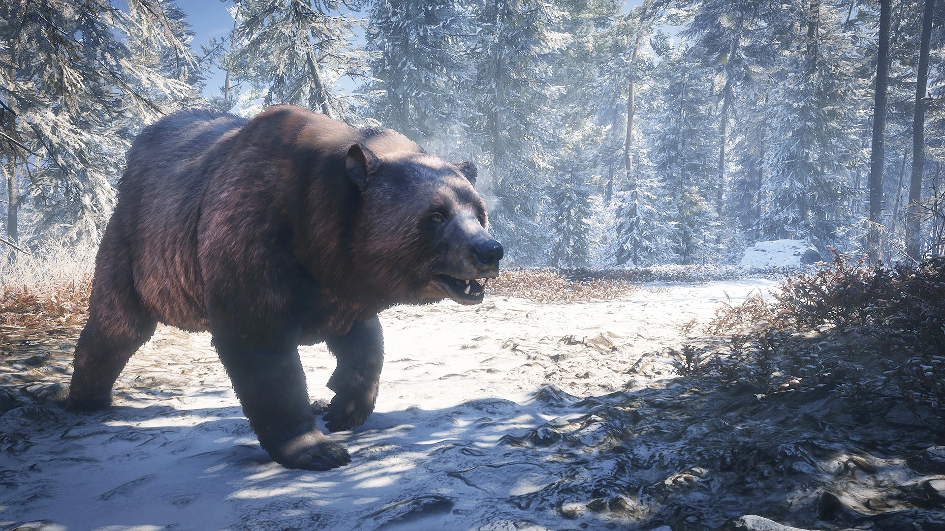Дополнение Medved-Taiga для theHunter: Call of the Wild вышло на консолях