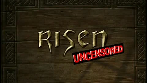 Risen "Процесс локализации"