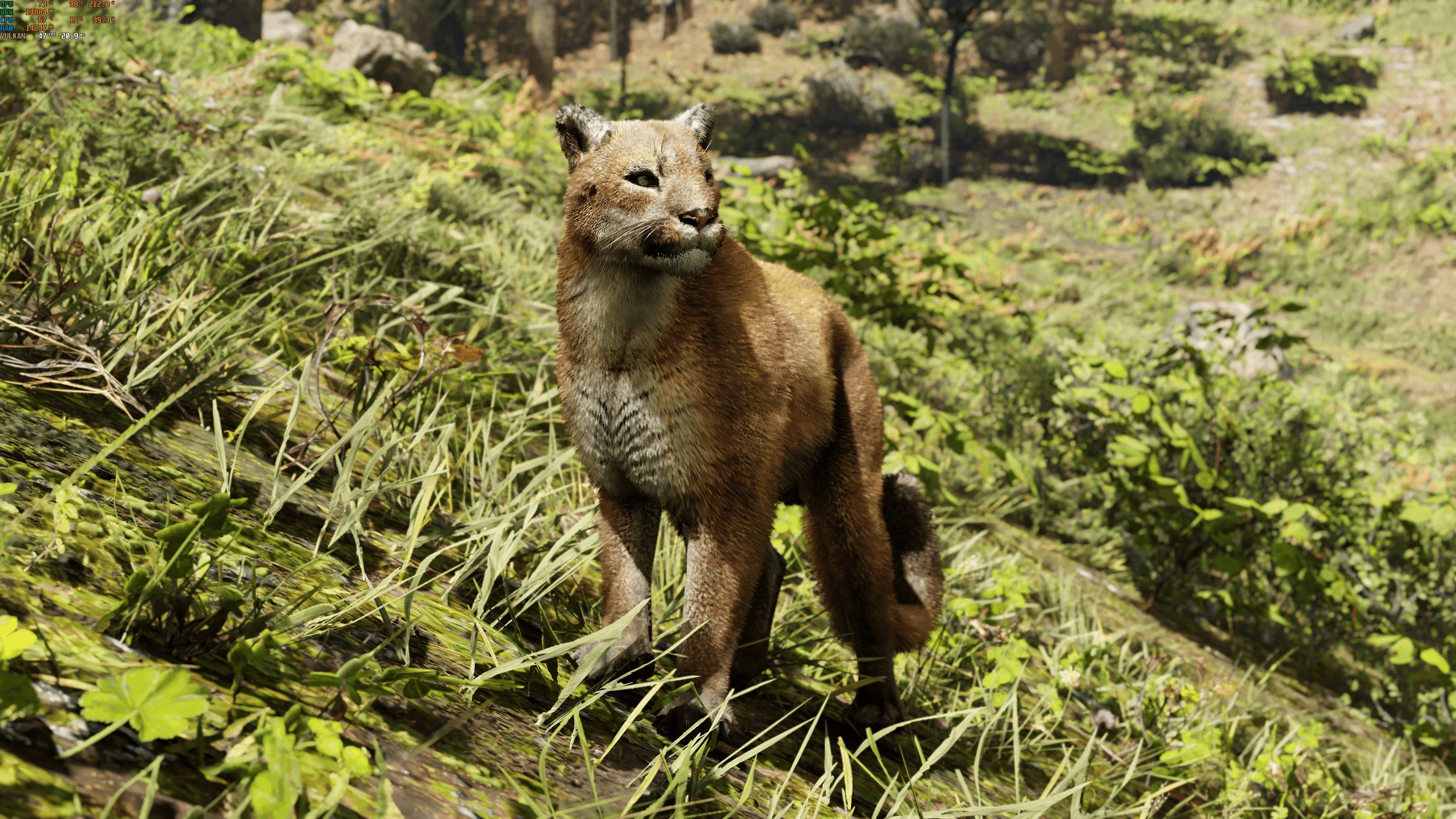 Новые моды для Red Dead Redemption 2 улучшают текстуры средних и крупных млекопитающих