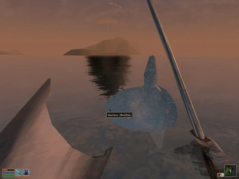 Morrowind "О водной жизни"