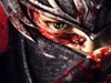 Многопользовательский режим Ninja Gaiden 3 прикроется онлайн-пропуском