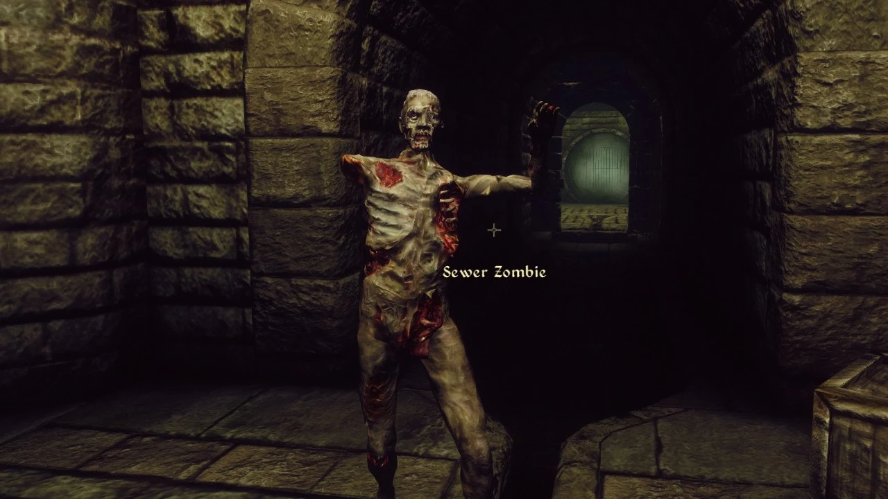 TES 4: Oblivion "Канализационные зомби"