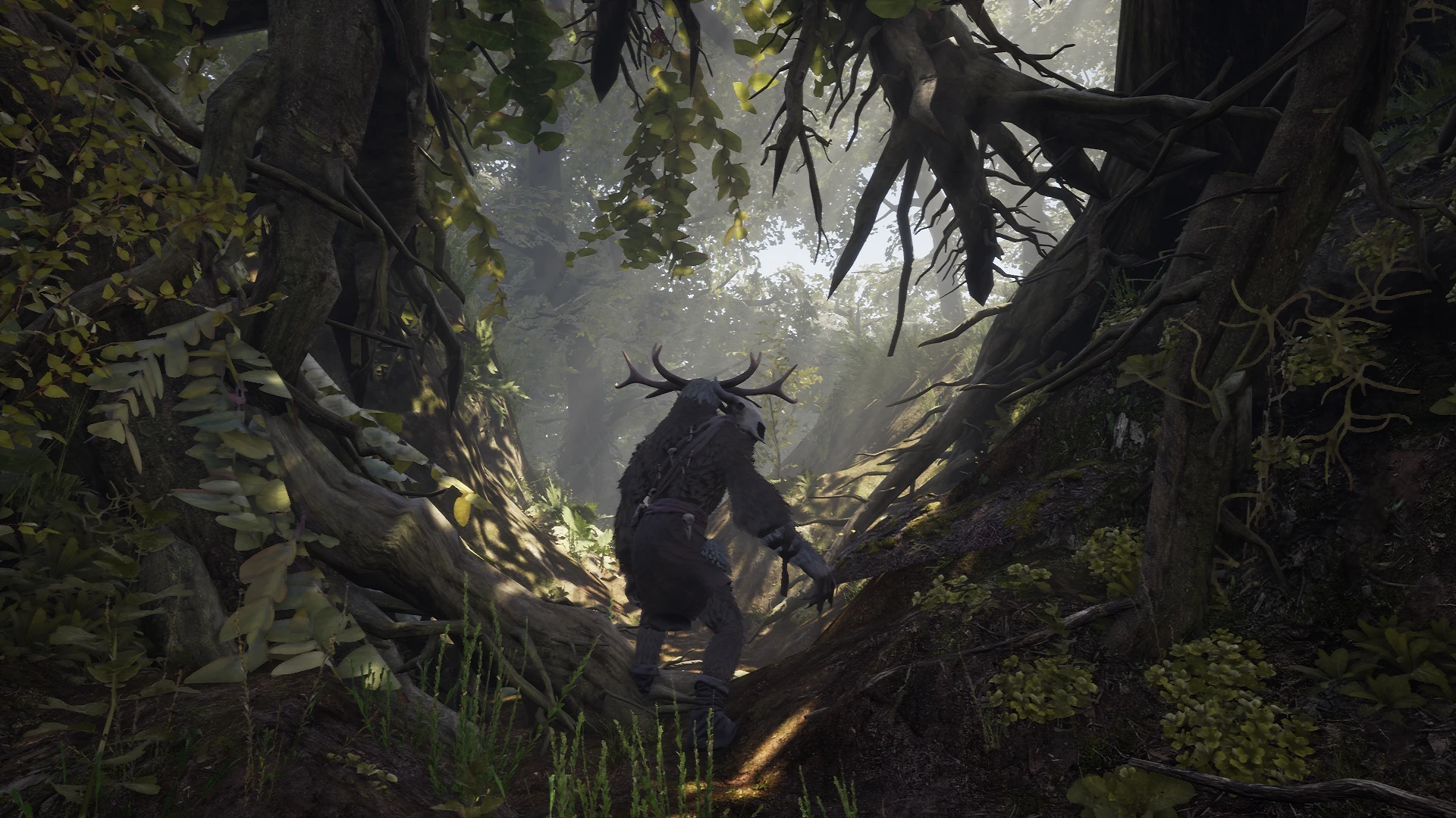 "Ведьмак вас не спасет" - анонсирующий трейлер экшена Leshy про защиту дикой природы в образе духа леса