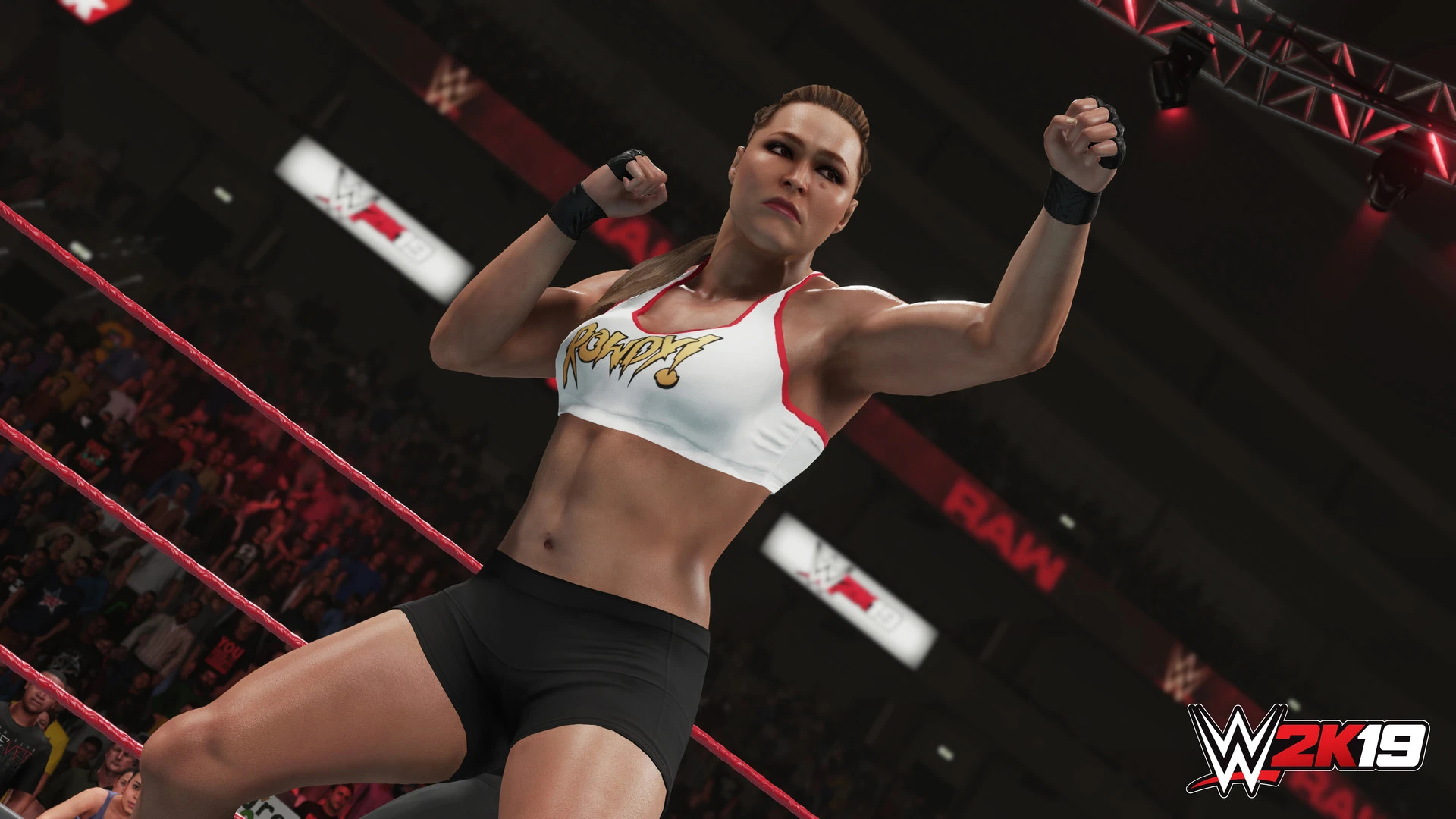 Состоялся релиз WWE 2K19