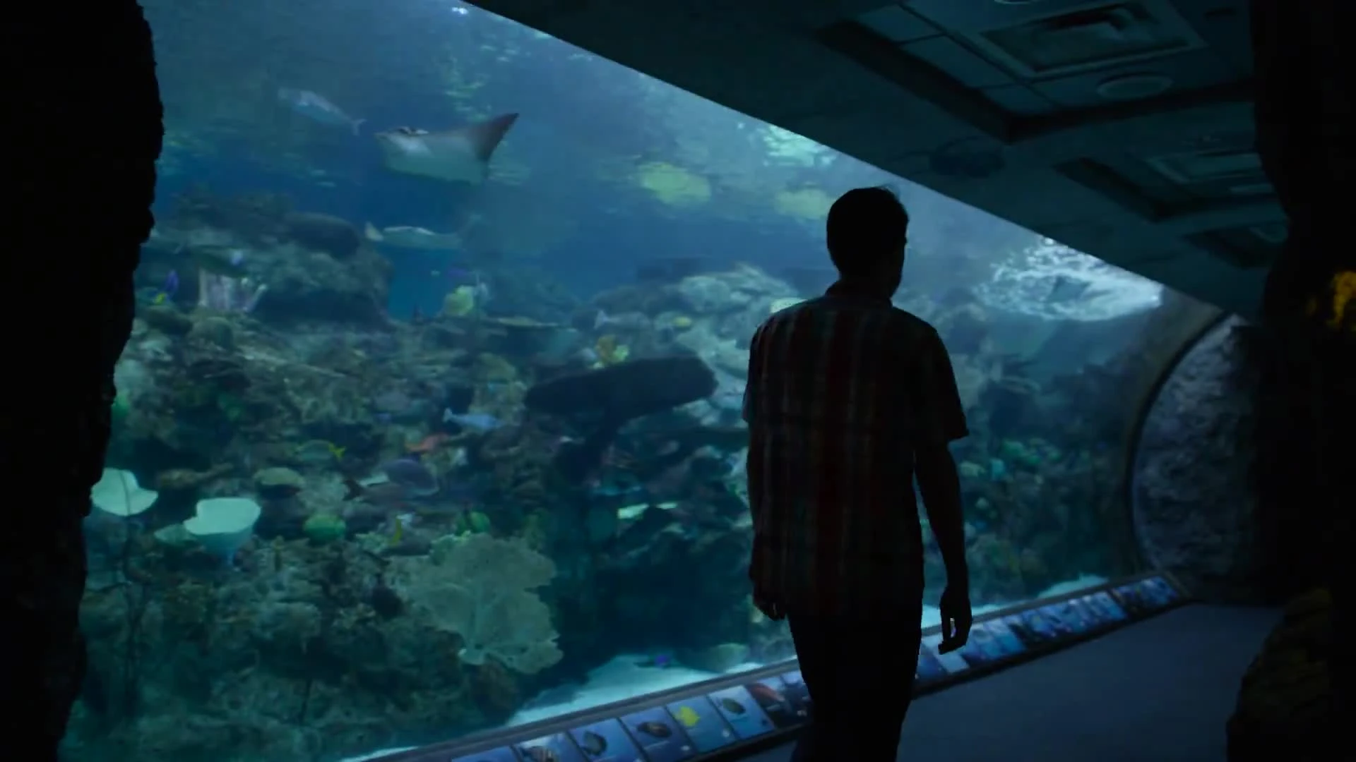 Дневники разработчиков Abzu