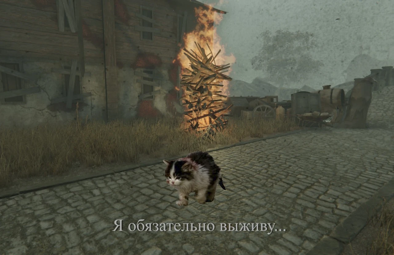 Я обязательно выживу...