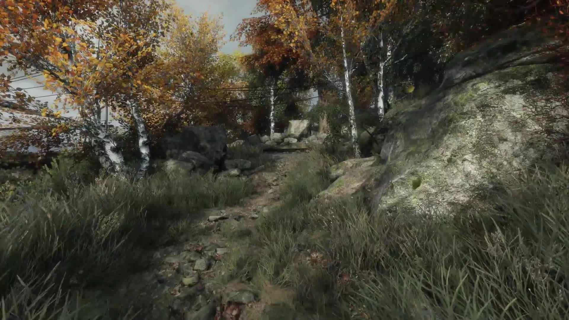 Vanishing of Ethan Carter - Графика