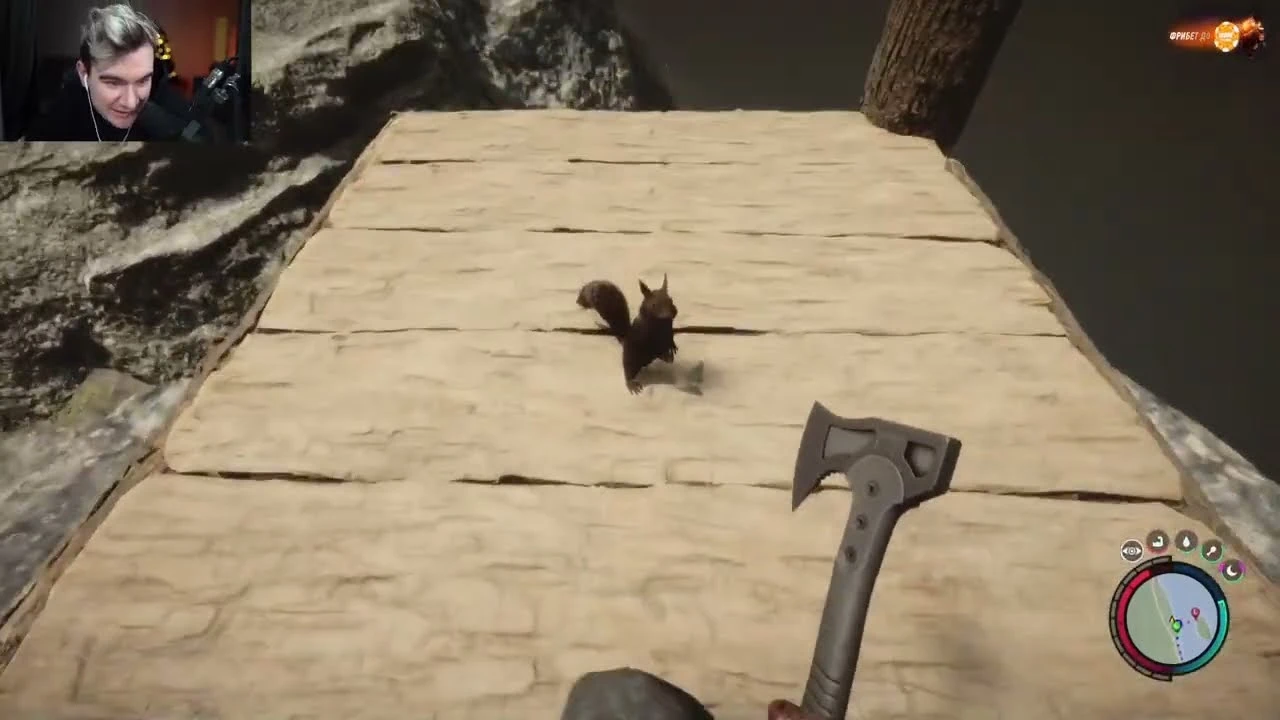 Белочка, смотрите!