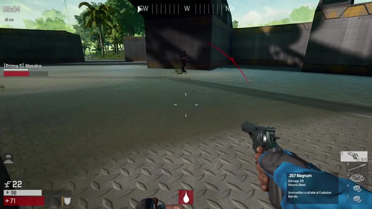 The Culling, ТОП убийств с магнума