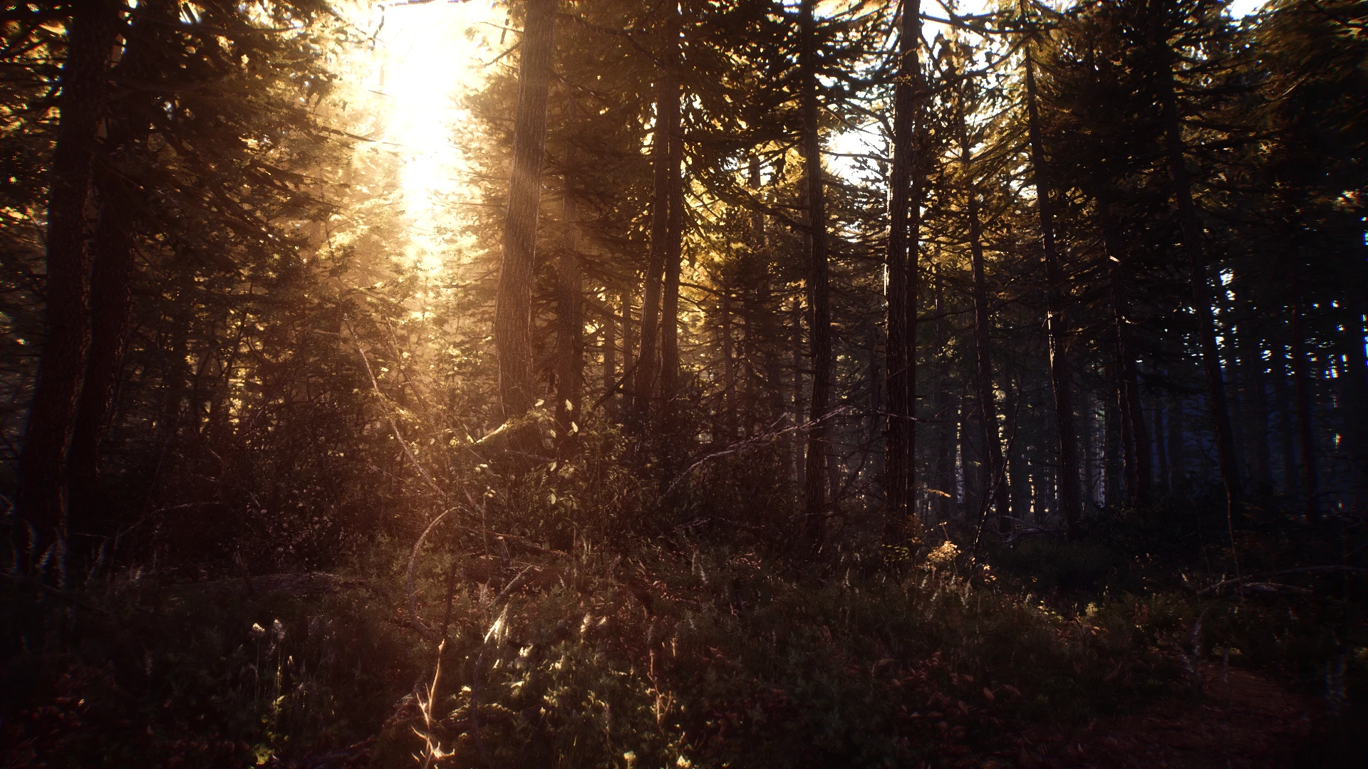 Blair Witch "Улучшенная графика"