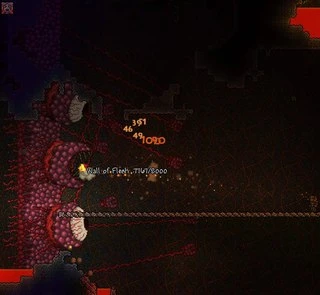 Terraria - Враги - Боссы - Стена плоти