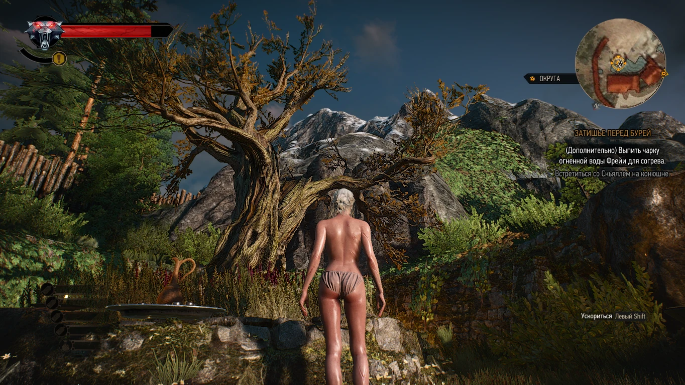 The Witcher 3: Wild Hunt "Мод Голая Цири в сауне"