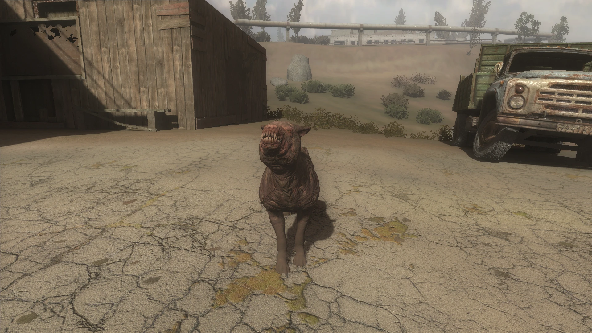 S.T.A.L.K.E.R.: Call of Pripyat "Пёс из Fallout 4"