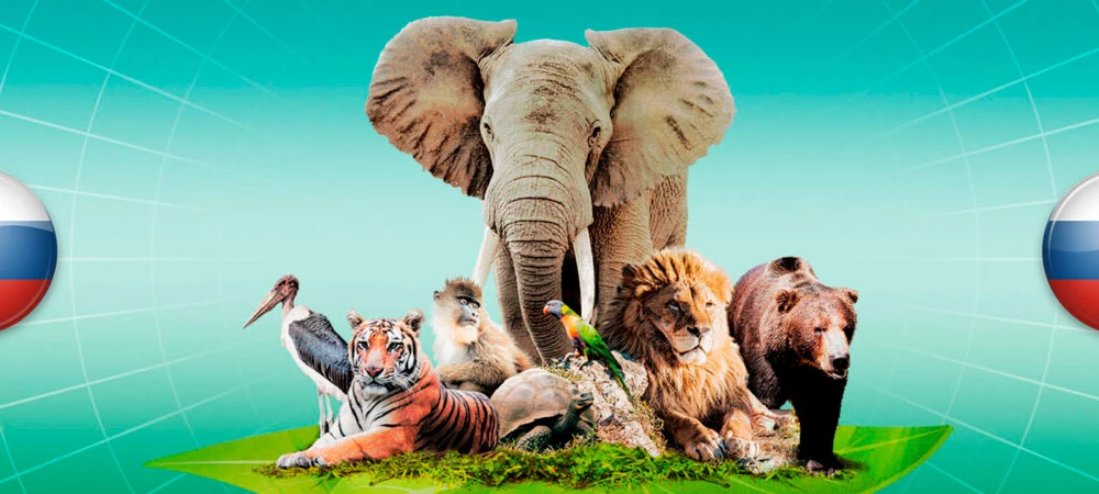 Ark Nova "Русификатор текста" [v1.0] {Atanvaron}