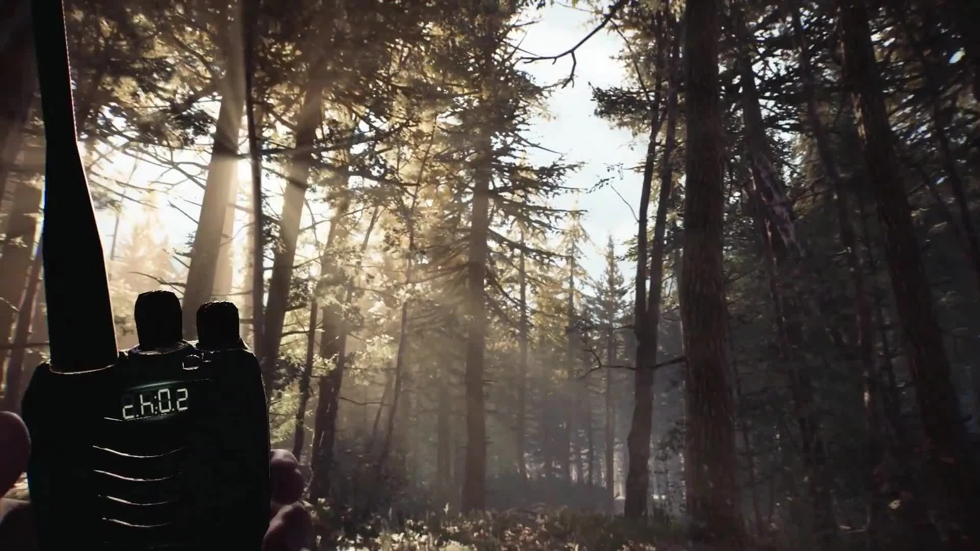 Сюжетный трейлер хоррора Blair Witch