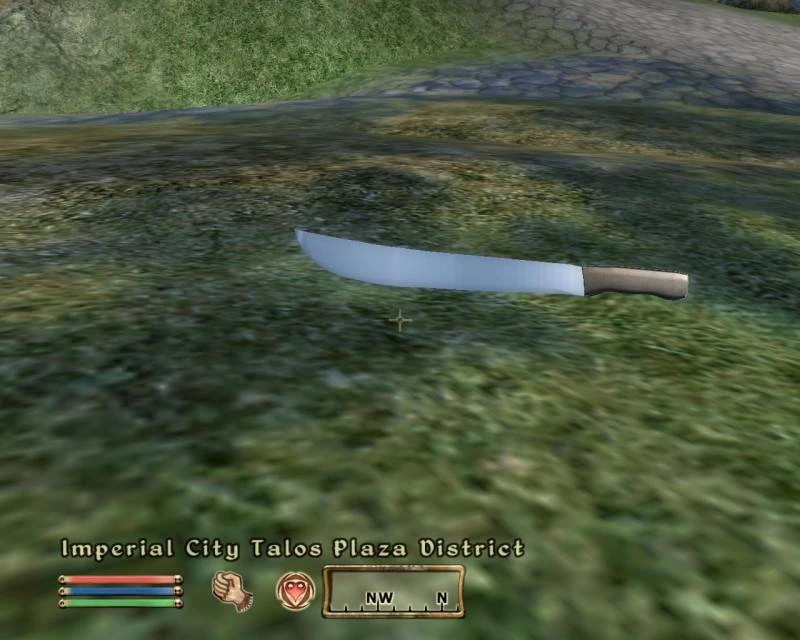 TES 4: Oblivion "Мачете"