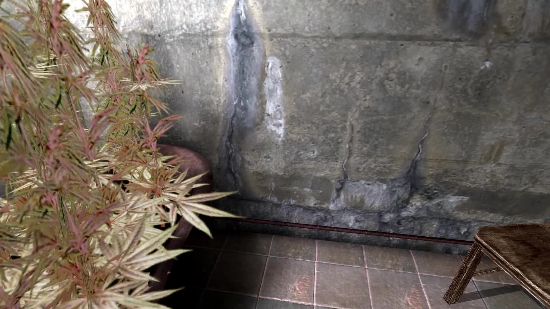 Tension - Тургор Голос Цвета как включить консоль в игре плюс коды