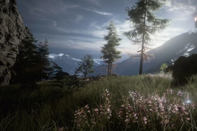 The Butterfly Sign: эксклюзивное интервью