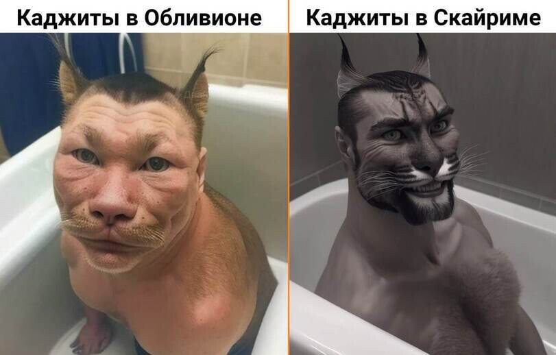 Каджиты